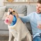 thumbnail image 4 of ¡Campaña de liquidación!Active Moving Pet Plush Toy, Interactive Dog Toy, Talking Movable Dog Toy, Electronic Dog Toy, Bounce Boredom Toy For Cats And Dogs, 4 of 6