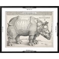 thumbnail image 5 of Art.com The Rhinoceros Art Print by Albrecht DÃ¼rer, Black Frame Wall Art, 29" x 23", 5 of 5