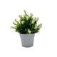 thumbnail image 1 of Matsuzay Bonsái de plantas artificiales, flores y plantas de imitación para interiores o exteriores, flores artificiales ecológicas Decoración blanco lechoso, 1 of 6