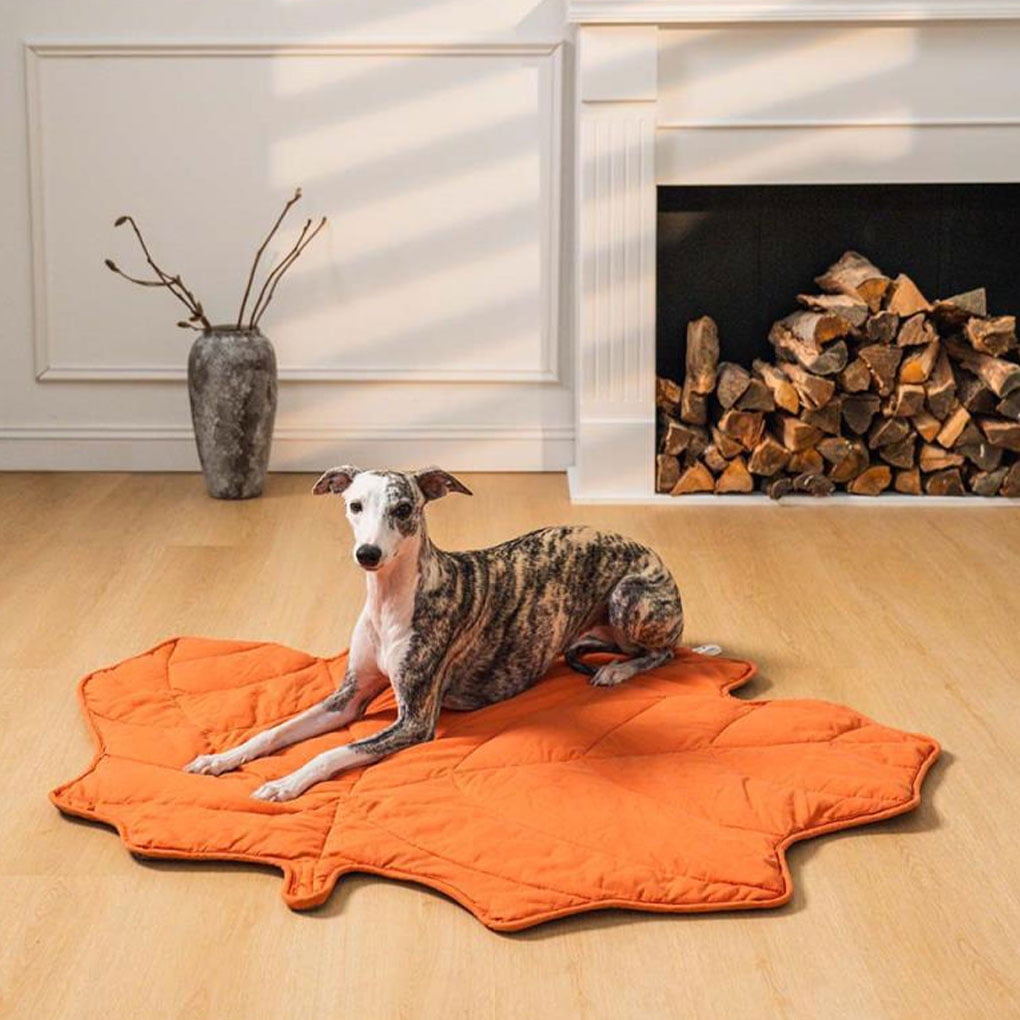 Xingzhi Soft And Comfortable Pet Blanket Not Easily Deformed Sofa