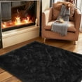 thumbnail image 2 of ZENELESS 3x5ft Black Cozy Fluffy Area Rug Shaggy Rugs for Bedroom Kids Room Nursery Indoor Carpet, 2 of 8