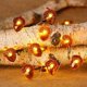 thumbnail image 1 of Cadena de luces LED de 3 metros con 30 luces y 8 modos de parpadeo, decorativas, impermeables, que funcionan con pilas, con control remoto y temporizador para fiestas de Navidad, Acción de Gracias y H, 1 of 5