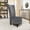 Gray, variant on US Pride Furniture Gosser 20" Wide Velvet High Back Vanity Chair for Living Room, Black
