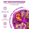 thumbnail image 4 of Outward Hound Fun Feeder Slo Bowl – Medium 2‑Cup Capacity, Slow Feeding, Small to Medium Dogs & Cats, Non-Slip, Purple, Flower Pattern, 4 of 8