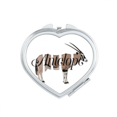 thumbnail image 1 of Antelope Body Segregation Assemblage Mirror Travel Magnification Portable Handheld Pocket Makeup, 1 of 3