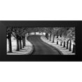 thumbnail image 2 of Frates, Dennis 24x12 Black Modern Framed Museum Art Print Titled - Maple Tree Lined Drive, 2 of 5