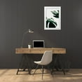 thumbnail image 3 of Artographie Studio 23x32 White Modern Wood Framed Museum Art Print Titled - Monstera Natural 11, 3 of 4