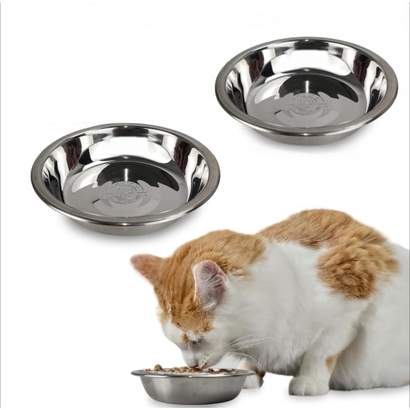 Stainless Steel Cat Bowls 2pcs Pet Bowls 5.51×1.18in for Kittens