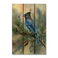 thumbnail image 6 of Day Dream DBSJ1420 14 x 20 in. Bartholets Stellers Jay Wall Art, 6 of 10