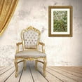 thumbnail image 3 of Talbot Frank, Christopher 11x14 Gold Ornate Wood Framed with Double Matting Museum Art Print Titled - CA, San Diego, Dandelion on a Spider Web, 3 of 4