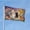 Cat, variant on Cute Floral Cats Garden Flags for Outside 3x5 Ft Double Sided Large House Flag Housewarming Gift Flag Beauty Flower Cats Flags Gifts for Women Men Cat Lovers Lawn Yard Outdoor Patio Decor