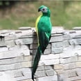 thumbnail image 3 of Baohd Simulation Parrot Statue Party Favors for Patio Yard Lawn Home Wall Tree Green, 3 of 9