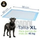 thumbnail image 2 of Pañal Almohadilla Entrenamiento Para Perro Y Gato XL 20pz 60*90, 2 of 5