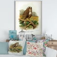 thumbnail image 2 of Designart 'Ancient Bird Life IX' Traditional Framed Canvas Wall Art Print, 2 of 5