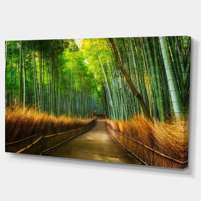 Designart - Arashiyama Bamboo Grove Japan - Oversized Forest Canvas Artwork