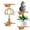 Carbonized Brown-Set of 4, variant on Small Floating Shelves Wall Shelf For Table Lamp Plants Display Decorative Wood Ledges Chic Living Room Bedroom Kitchen Office Pine 8x6 Inch 2 Pack(white)