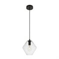 thumbnail image 3 of Placido Collection Pendant D9.4 H10.8 Lt:1 Black and Clear Finish, 3 of 3