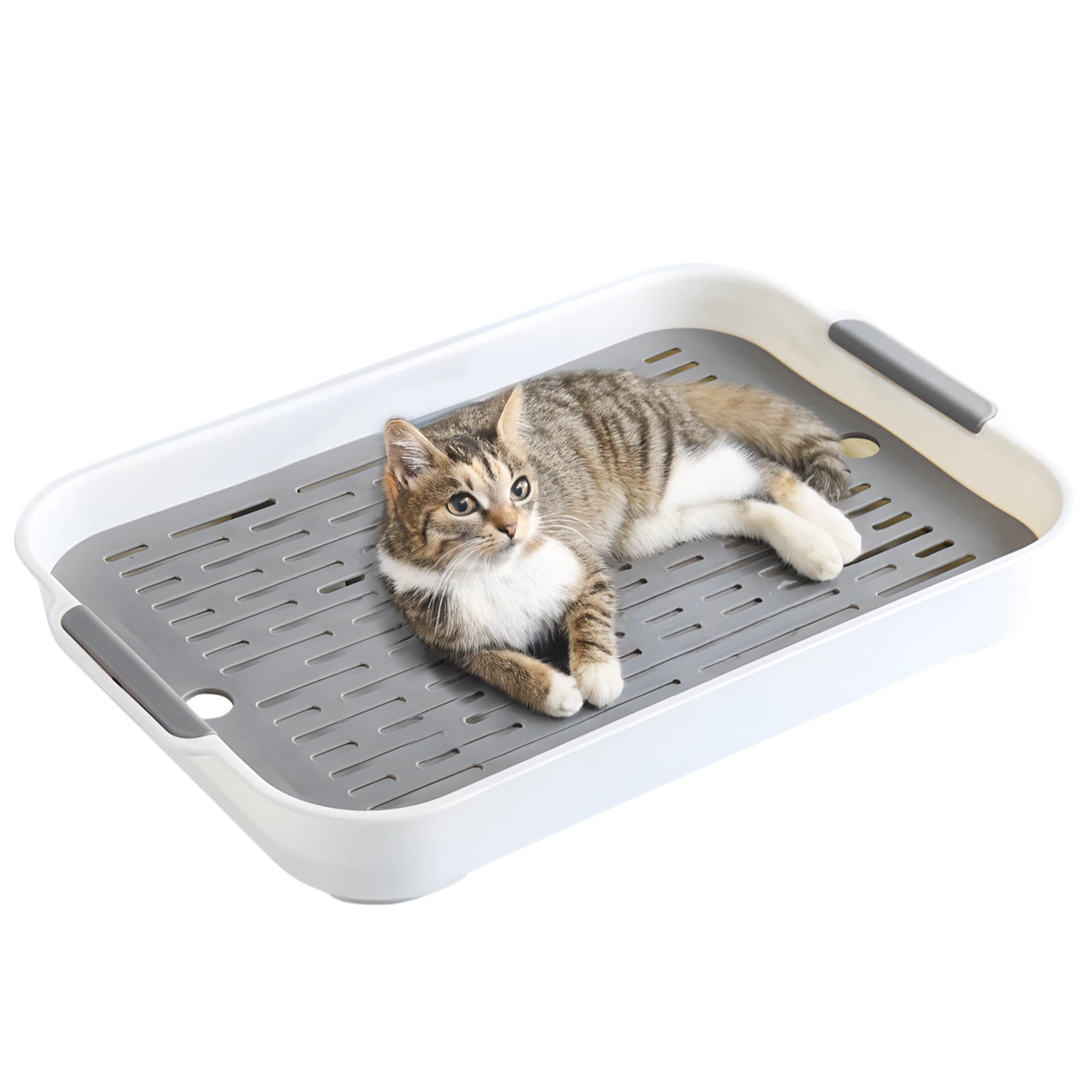Pet Litter Box with Grate, Double Layer Animal Toilet Tray (14.4×9.6×2"), Large Anti-Flip Training Pan with Removable Mesh for Rabbits, Guinea Pigs, Chinchillas, Hamsters, Gerbils (White)