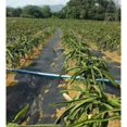 thumbnail image 4 of Youkk Barrier Landscape Fabric with Strips Grid Black 1x2meter 1Set, 4 of 6