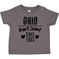 thumbnail image 3 of Inktastic Ohio Awesome Since 1803 Boys or Girls Toddler T-Shirt, 3 of 5
