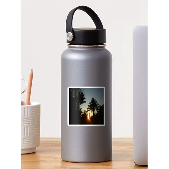 Stickly Awesome View On Sunset And Palm Trees Sticker, Phone Decal Water Bottle Stickers Car Decals, Funny Birthday Gift