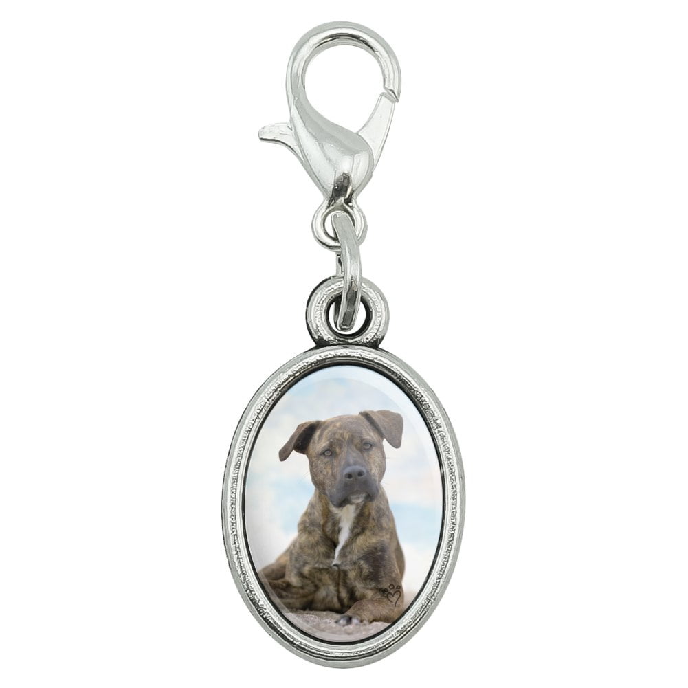 Staffy charm Clearance