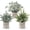 Grey, variant on 3 Pack Mini Potted Artificial Plants Fake Eucalyptus Greenery in Pots for Home Office Desk Decor