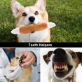 thumbnail image 3 of Peluche Dog Squeaky Toys Nocciola para perros pequeños, 12 unidades con bolsa, 3 of 7