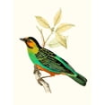 thumbnail image 2 of Unknown 15x18 White Modern Wood Framed Museum Art Print Titled - On Perch VI, 2 of 4