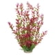 thumbnail image 2 of Xihbxyly Decoración de Césped para Acuario, Plantas de Plástico Vibrantes, Diseño de Base de Piedra, Fácil de Limpiar, para Agua Dulce y Salada, Accesorio Decorativo para Peceras, Incluye 1 Pieza, 2 of 3