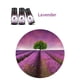 thumbnail image 5 of Perfumes para caballero Oil Aromatherapy Therapeutic Grade Water Soluble Aroma 10ML, 5 of 6