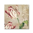 thumbnail image 2 of Trademark Fine Art "Peppermint Tulips I" Canvas Art by Color Bakery, 2 of 4