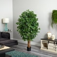 thumbnail image 7 of Nearly Natural 5.5' Ficus Artificial Tree, 7 of 7