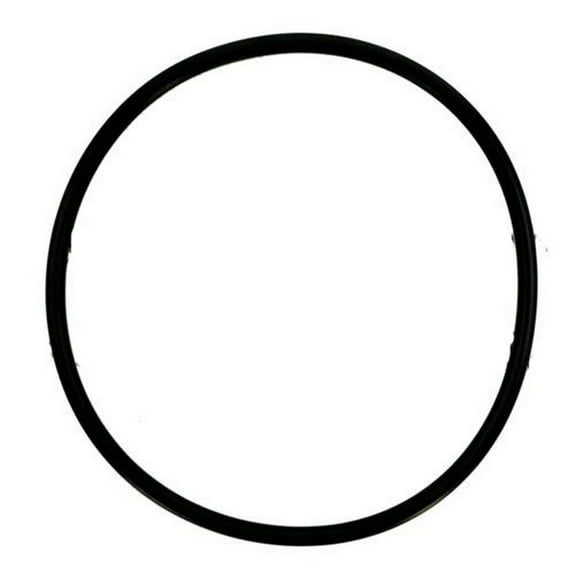 APC APCO2180 Chlorinator O-Ring