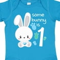 thumbnail image 4 of Inktastic Somebunny is One First Birthday Bunny Boys or Girls Baby Bodysuit, 4 of 5