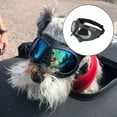 thumbnail image 4 of DOLITY Lunettes de Protection pour Chien Ajustables, Protection contre la Neige, Portables, Coupe-Vent, 4 of 9
