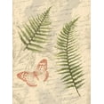 thumbnail image 2 of Grey, Jace 15x18 White Modern Wood Framed Museum Art Print Titled - Ferns Mate, 2 of 4