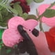 thumbnail image 2 of Riwesomey Thorn Remover Gardening Mat Household Safe Tools Pad Surface Caring Plant Gardening Fitting Tools Strip Stripping Thorns Jardín y Patio No.2, 2 of 6
