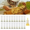 thumbnail image 3 of Bee Queen Cages, Non- Queen Bee Cage, Long-Lasting Light Weight Backyard For Farmer Beekeeper Garden, 3 of 8