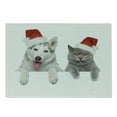 thumbnail image 1 of Christmas Cutting Board, Dog and Cat in Santa Red Hats Funny Puppy and Kitty Domestic Pet Animal, Decorative Tempered Glass Cutting and Serving Board, Small Size, White Grey Red, by Ambesonne, 1 of 1