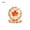 A, variant on JHyouerji 20 Pcs Disposable Paper Plates 7 Inch Pumpkin Print Food Grade Eco Friendly Table Decor for Fall Harvest Snack Dessert Picnic Holiday Party Supplies