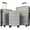 Silver, variant on 3 PCS Luggage Set, Hardshell Suitcase Bags Set of 3 with TSA Lock, Lightweight Portable Carry on Luggage with Spinner Wheels for Travel/on Business, 20"/24"/28", Silver, L0211
