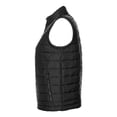thumbnail image 6 of tasc TW911 Women's Quilted Puffer Vest-Black-XS, 6 of 6
