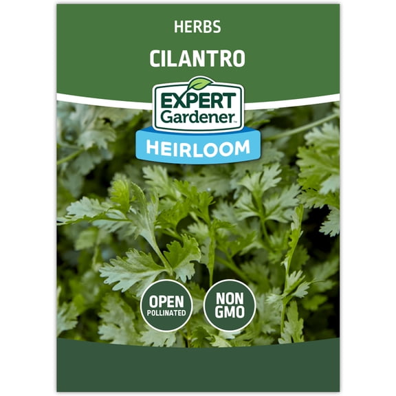 Expert Gardener Coriander/Cilantro Herb