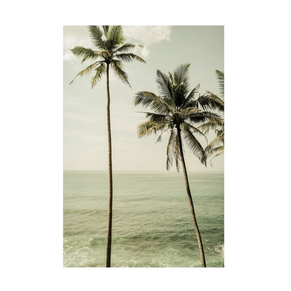 Trademark Fine Art Shot by Clint Sea Breeze Canvas Wall Art