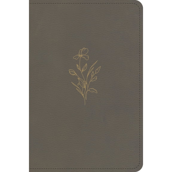 KJV Large Print Compact Reference Bible, Clay Leathertouch, (Hardcover)