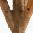 thumbnail image 3 of Nearly Natural 3ft. Bonsai Styled Podocarpus Artificial Tree, Green, 3 of 4