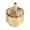 Gold 3/4 Inch, variant on Suodoka Brass Column Garden Pond Fountain Water Nozzle Sprinkler Spray Head, Porous Scattering Fountain Accessory for Home Courtyard Garden Decoration, Gold (1/2 Inch / 1.27 cm)