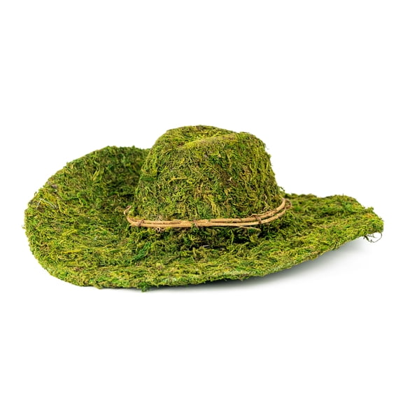 13" Decorative Moss Western Hat by Ashland  - Spring Home Decor