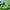 Green Blue2, variant on Kids Soccer Cleats Boys Girls Football Shoes Athletic Outdoor Soccer Sneakers